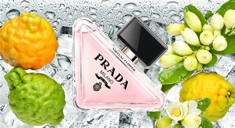 prada flowers print|prada virtual flower perfume.